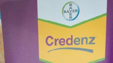 Bayer CropScience announces new soybean brand