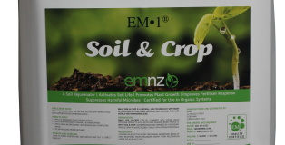 soil&crop
