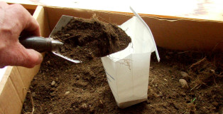 soil-into-test